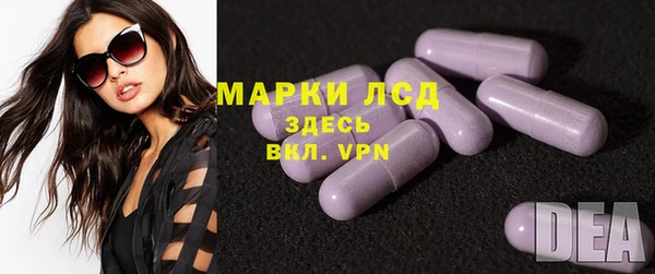индика Новозыбков