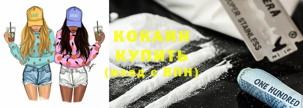 прущие грибы Новокубанск