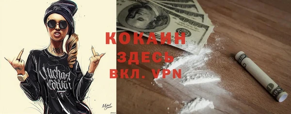 индика Кострома