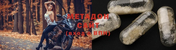 индика Новозыбков