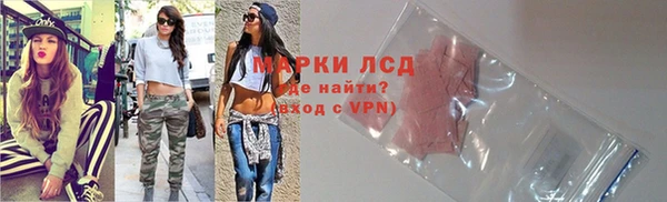 индика Новозыбков