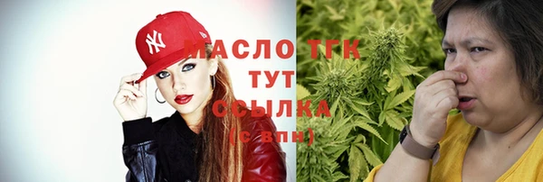 индика Новозыбков