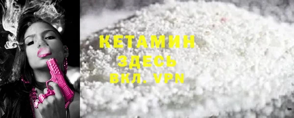 индика Новозыбков