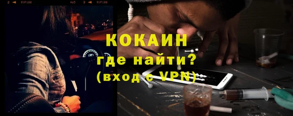 индика Новозыбков