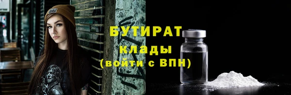 индика Новозыбков