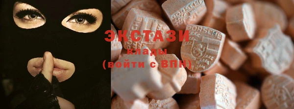 индика Новозыбков