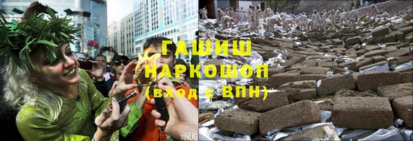 индика Новозыбков