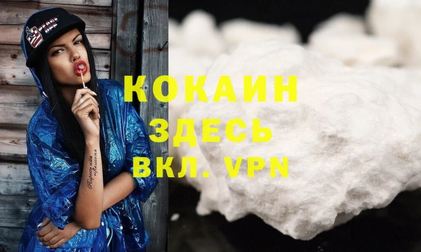 прущие грибы Новокубанск