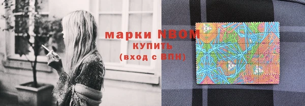 индика Новозыбков