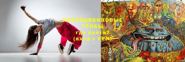 индика Новозыбков