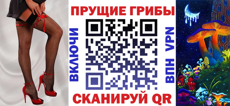 дарнет шоп  Сальск  Галлюциногенные грибы Psilocybine cubensis 